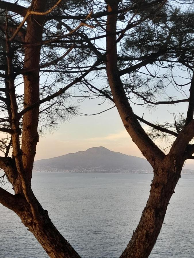 Bed and Breakfast Il Platano Piano di Sorrento Exteriér fotografie