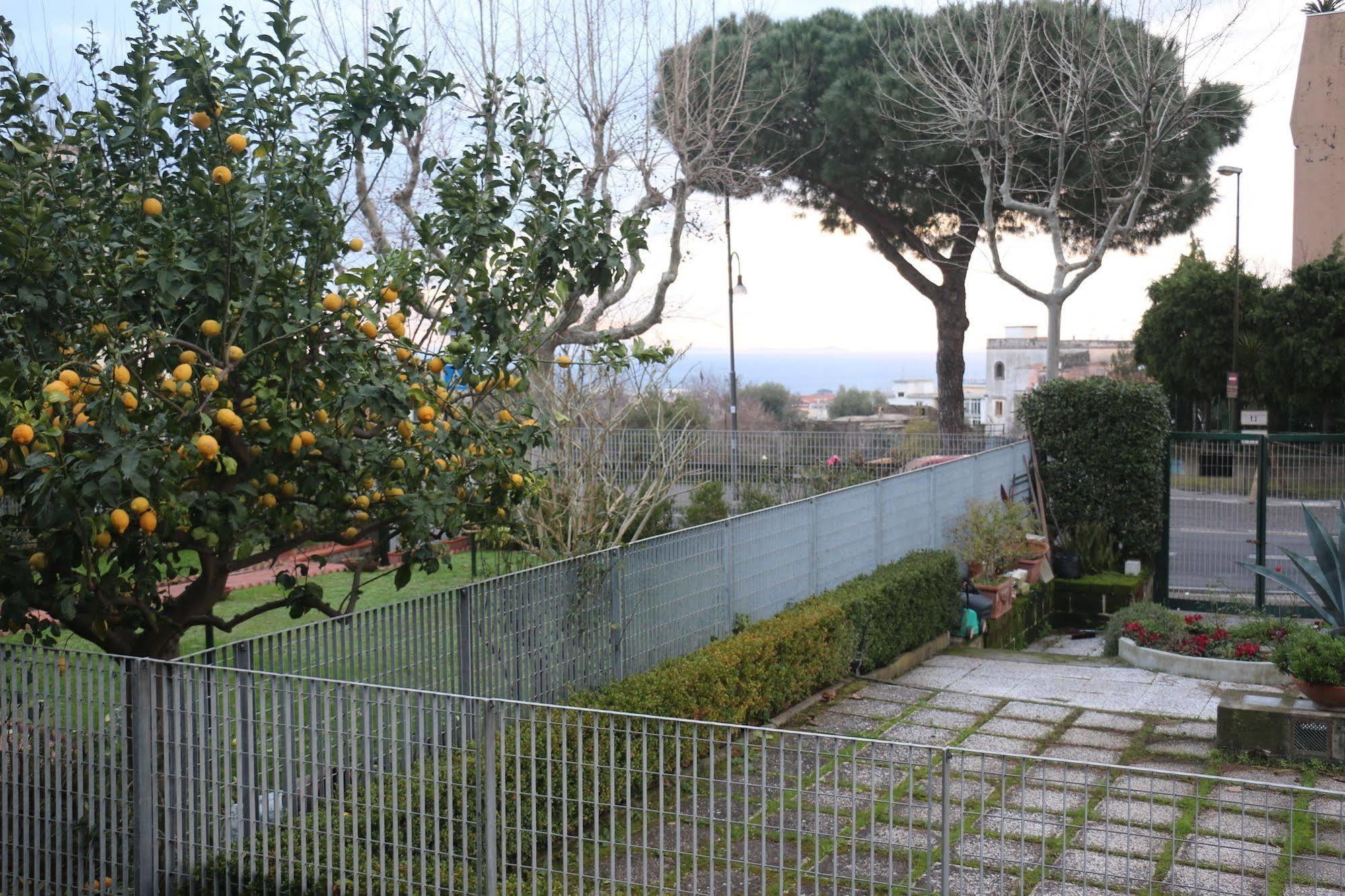 Bed and Breakfast Il Platano Piano di Sorrento Exteriér fotografie