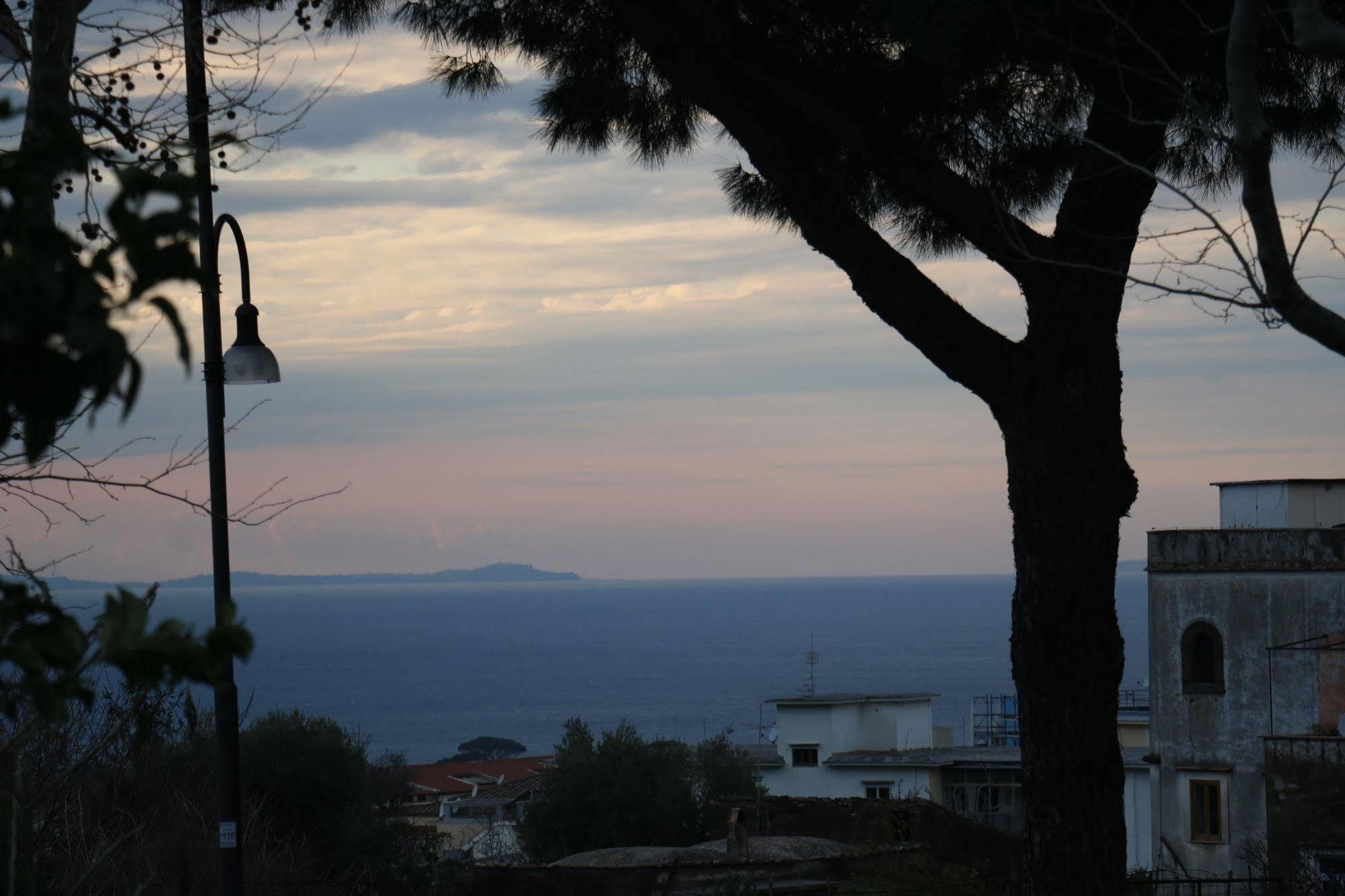 Bed and Breakfast Il Platano Piano di Sorrento Exteriér fotografie